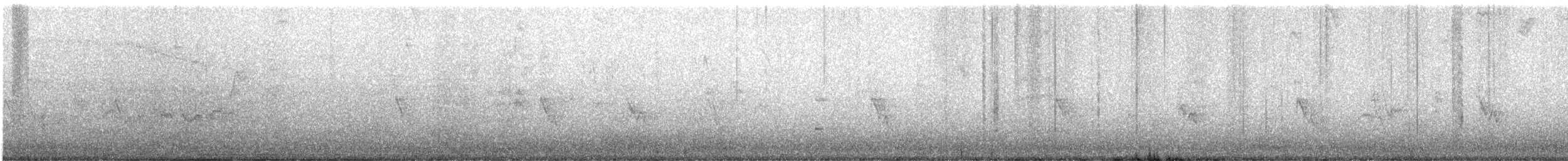 Warbling Vireo - ML636111742