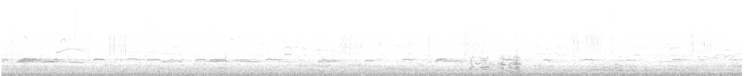 Sarcelle d'hiver (crecca) - ML636116762