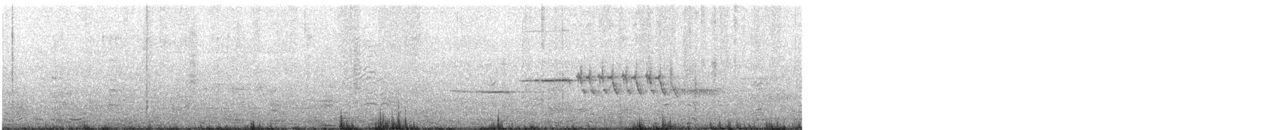 White-crowned Sparrow - ML636116915