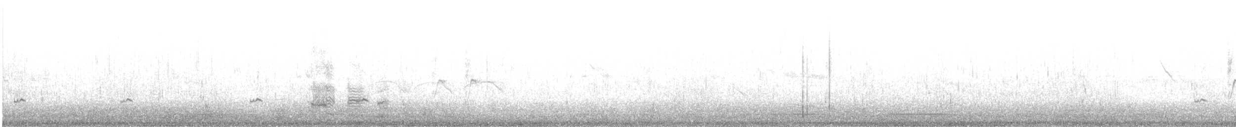 Sarcelle d'hiver (crecca) - ML636117096
