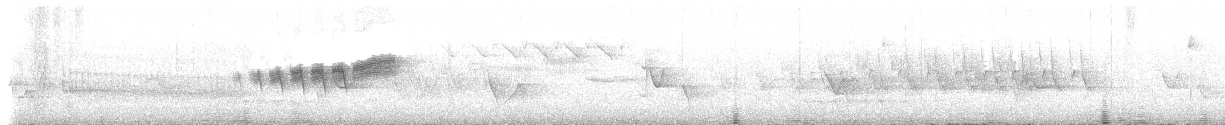 Black-throated Blue Warbler - ML636119242