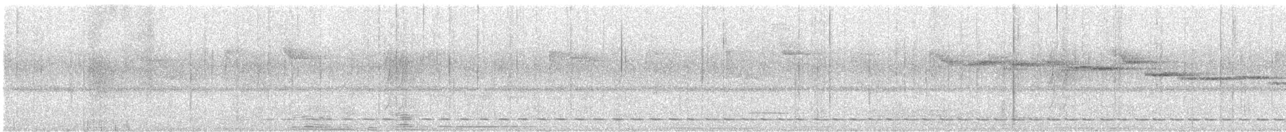 Short-tailed Antthrush - ML636119289