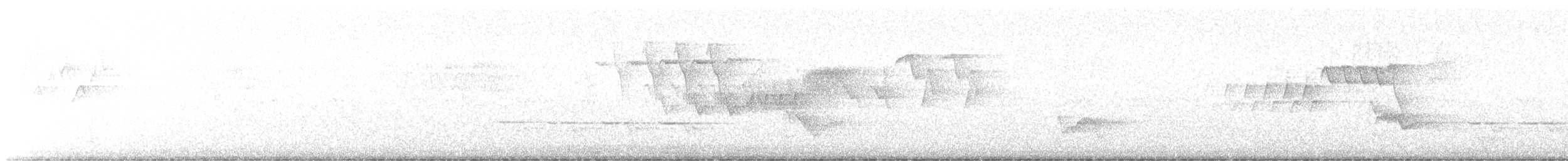 asurparula - ML636119580