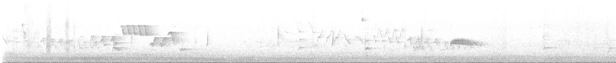 Gray Flycatcher - ML636122735