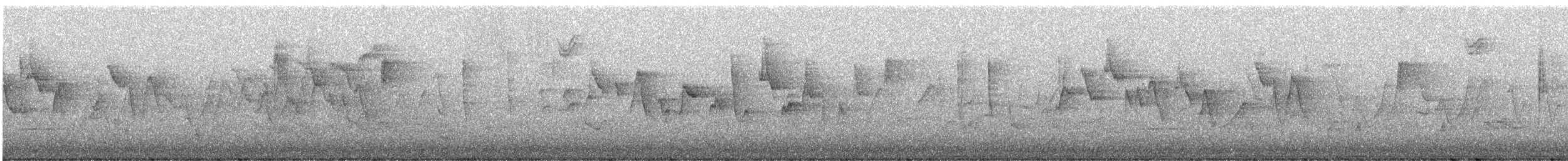 Canada Warbler - ML636122812