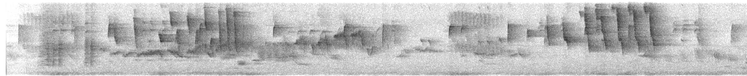 Tennessee Warbler - ML636123414