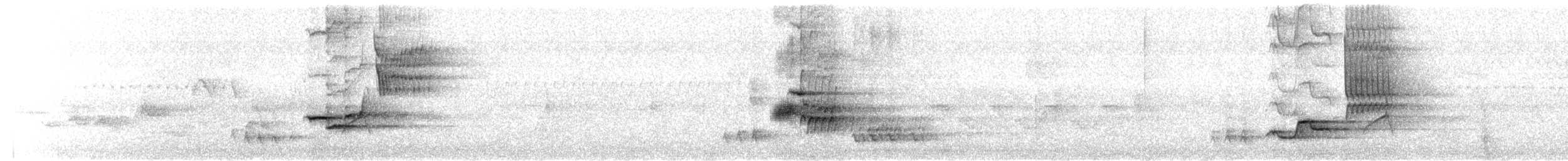 Wood Thrush - ML636123488