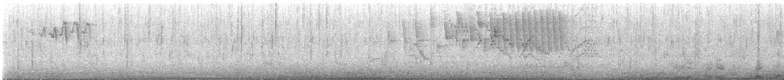 Bicknell's Thrush - ML636131094
