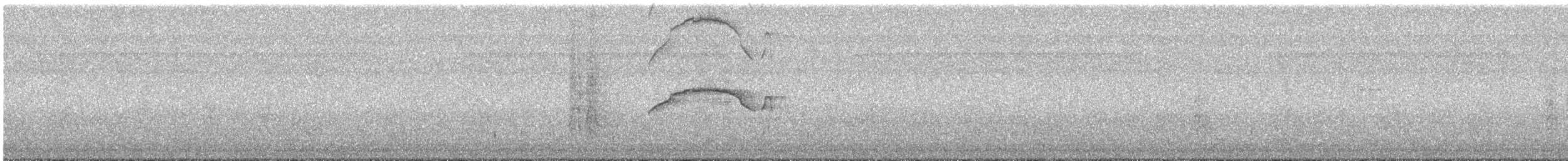 Harpage bidenté - ML636132501