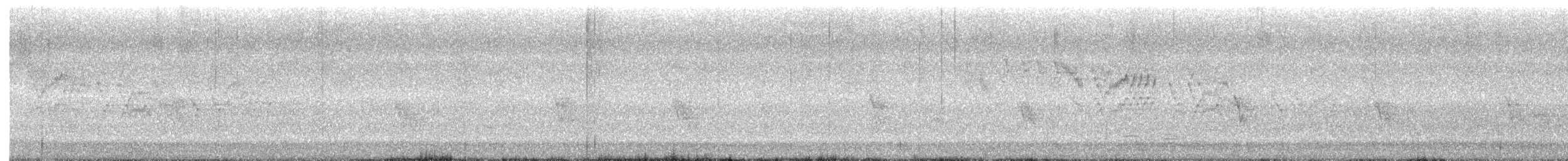 Bicknell's Thrush - ML636136517