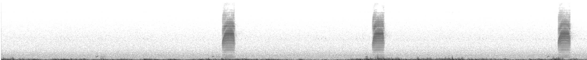 American Woodcock - ML636137790