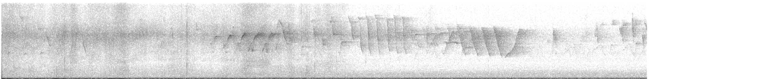 Tennessee Warbler - ML636139272