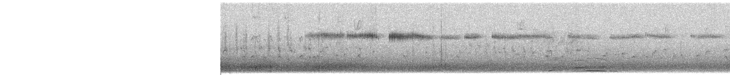 Широкохвостый колибри - ML63613981