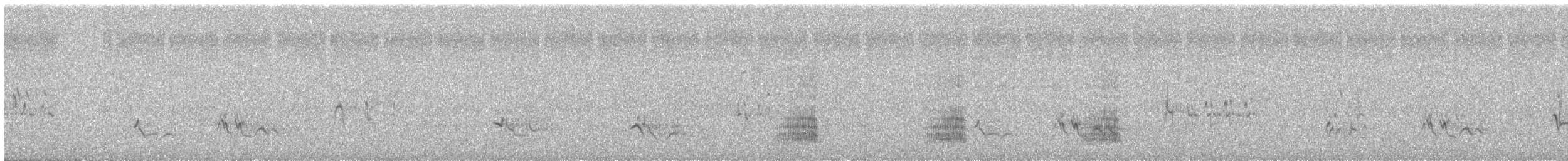 Stockente - ML636141208
