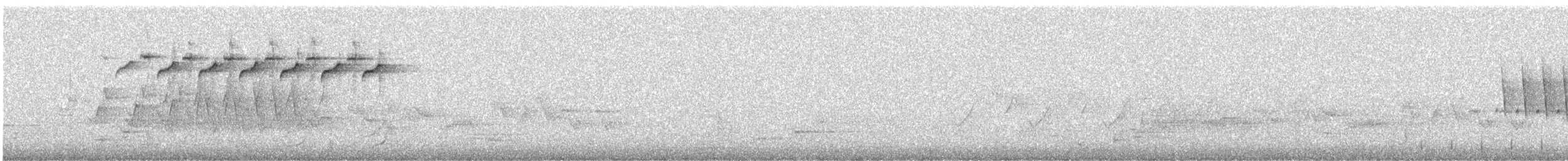 Black-and-white Warbler - ML636142351