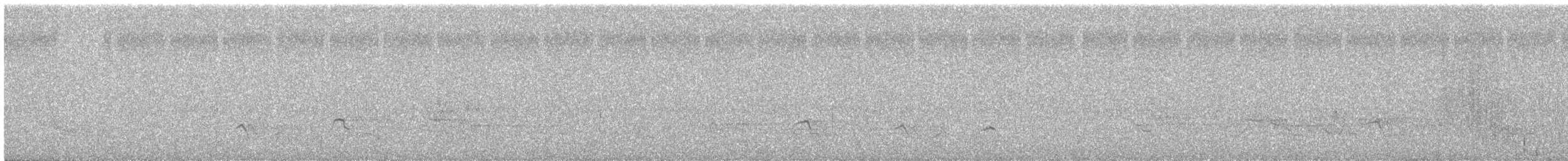 Sarcelle d'hiver (carolinensis) - ML636142603