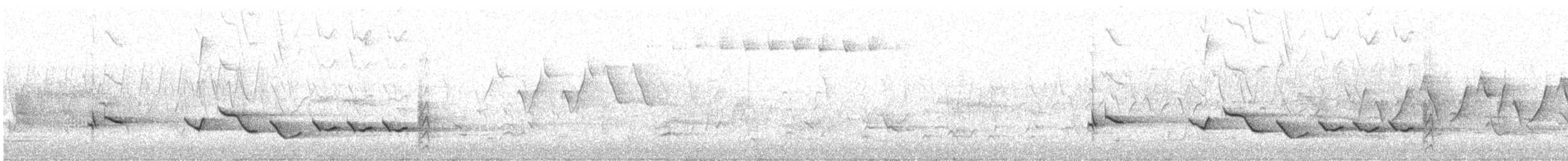 Baltimore Oriole - ML636142889