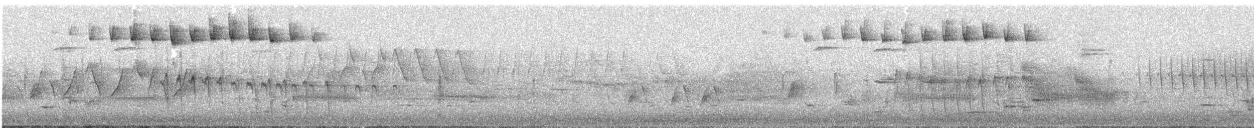 Blackpoll Warbler - ML636142899