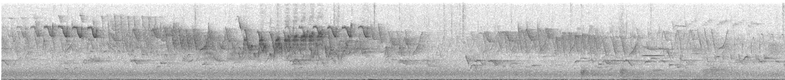 Northern Parula - ML636144132