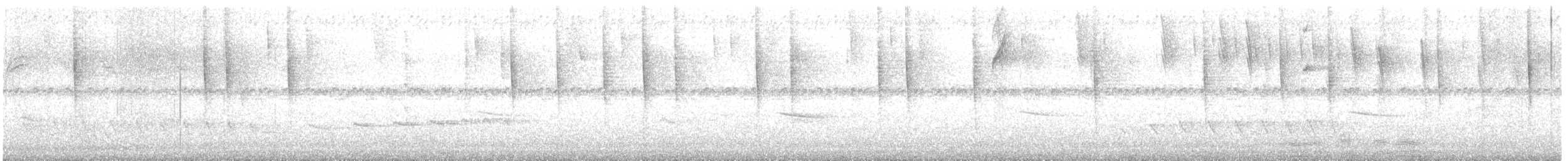 Dusky Antbird - ML636146490