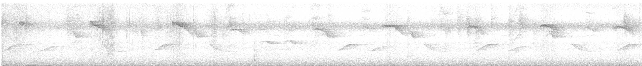 White-breasted Wood-Wren - ML636148849