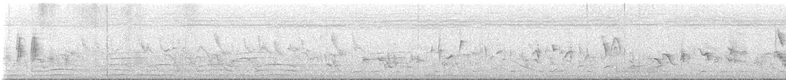 Бор шувууны багын тодорхойгүй зүйл - ML636153829