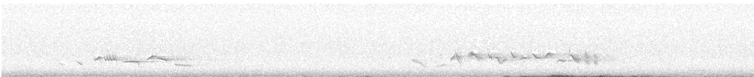 コシジロイソヒヨドリ - ML636156524
