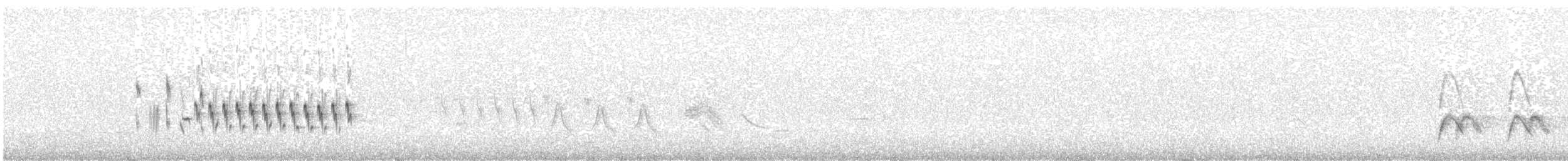 Bigiarella (curruca/blythi/halimodendri) - ML636156788