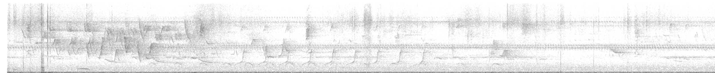 Connecticut Warbler - ML636158379
