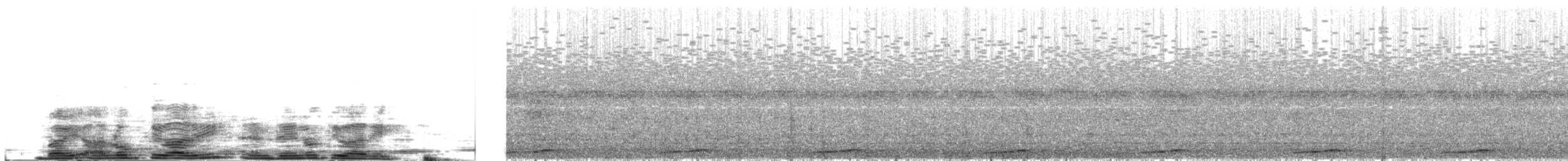 Chouette leptogramme - ML636160286