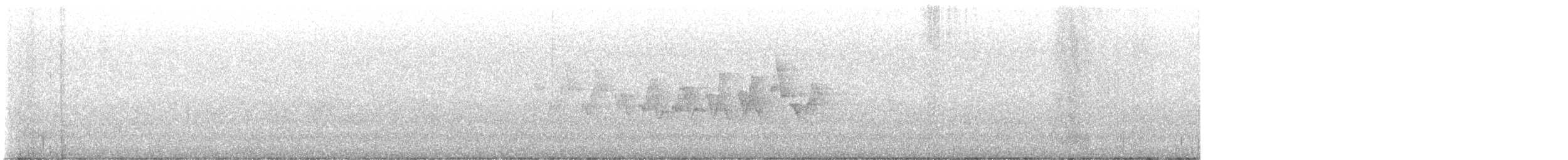 Chestnut-sided Warbler - ML636160984