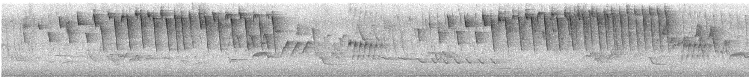 Tennessee Warbler - ML636162286