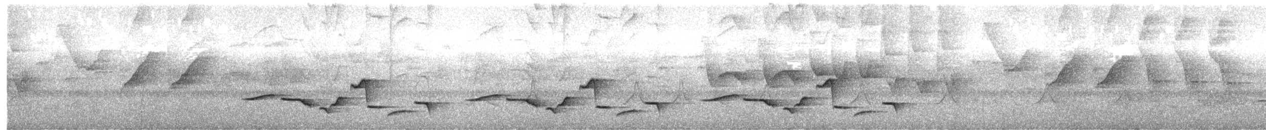 Sooty-headed Wren - ML636163646