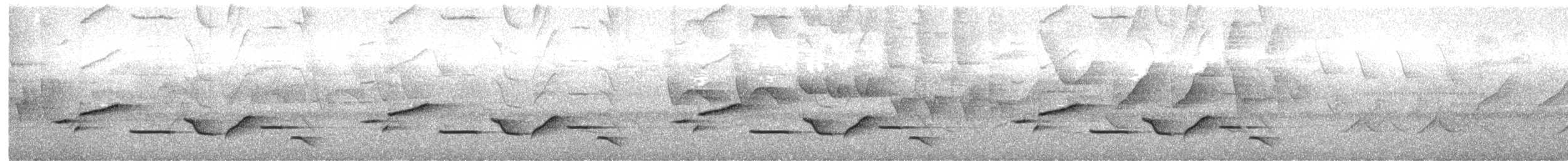 Sooty-headed Wren - ML636163647