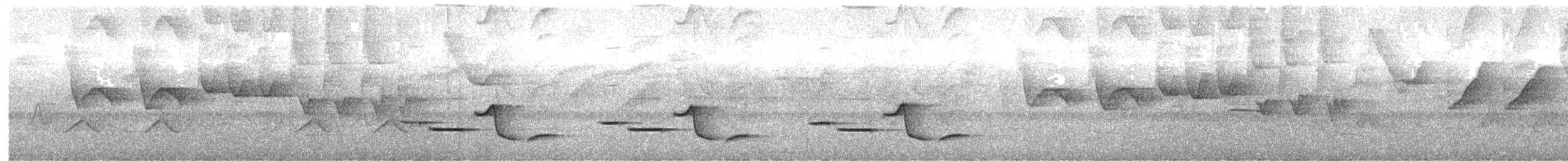 Sooty-headed Wren - ML636163648