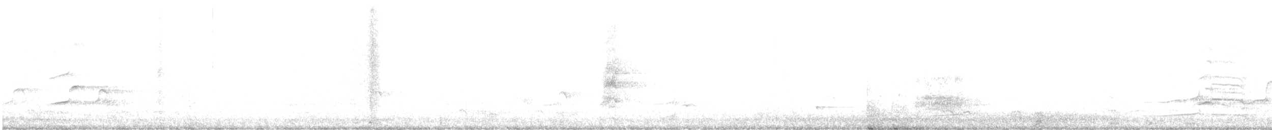 Autour blanc - ML636164215