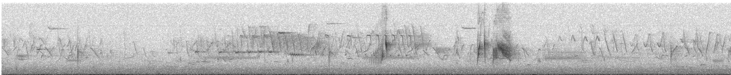 Moucherolle des saules - ML636164382
