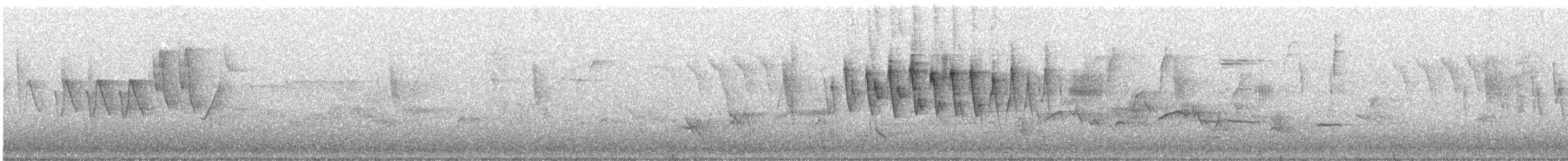 Paruline à calotte noire - ML636164891