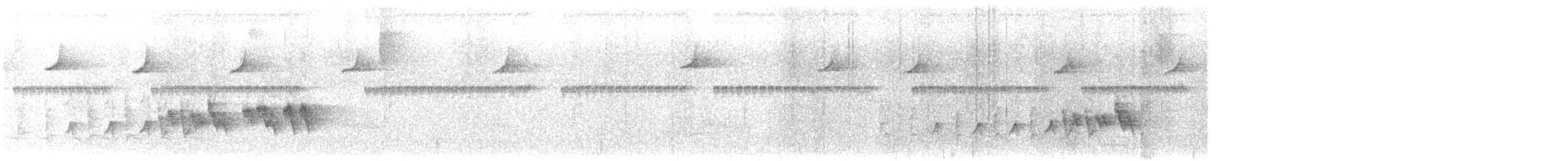 Two-banded Warbler - ML636167198