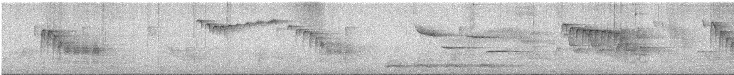 カロライナコガラ - ML636168909