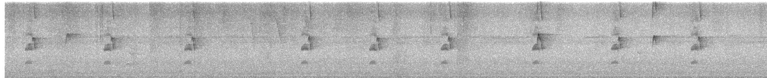 White-whiskered Hermit - ML636169056