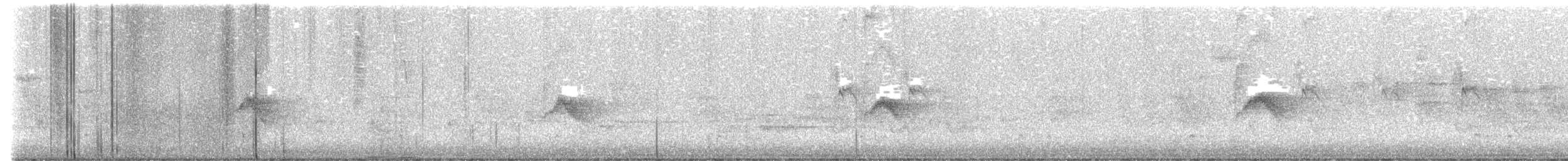 Bicknell's Thrush - ML636169433