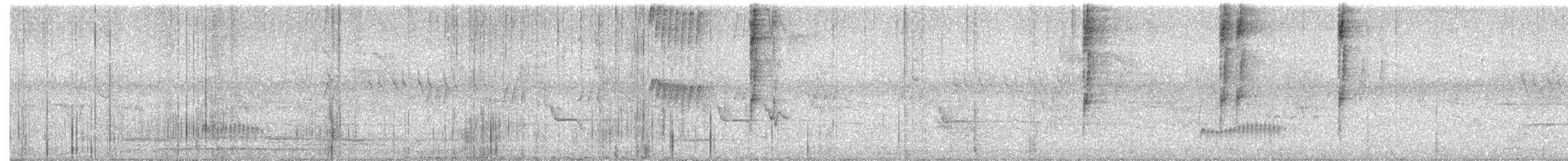 Blue-black Grosbeak - ML636169534