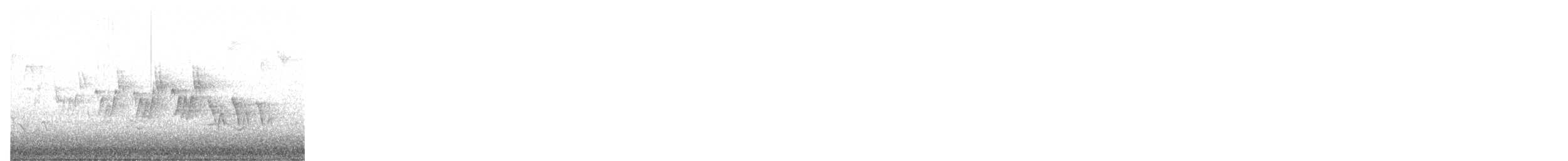 Mourning Warbler - ML636169668