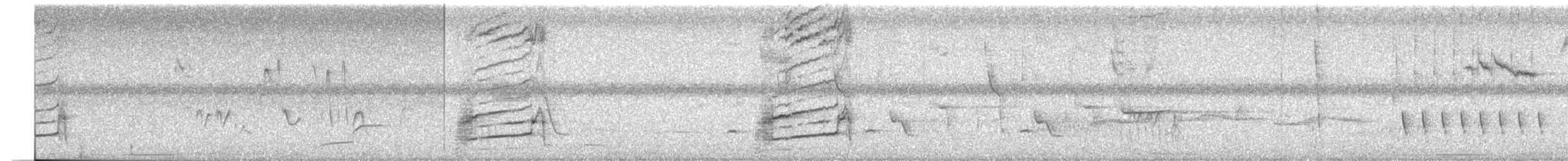 Smooth-billed Ani - ML636169844