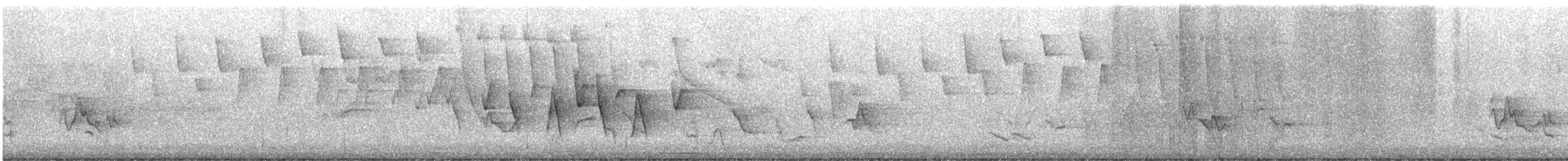 Connecticut Warbler - ML636169876