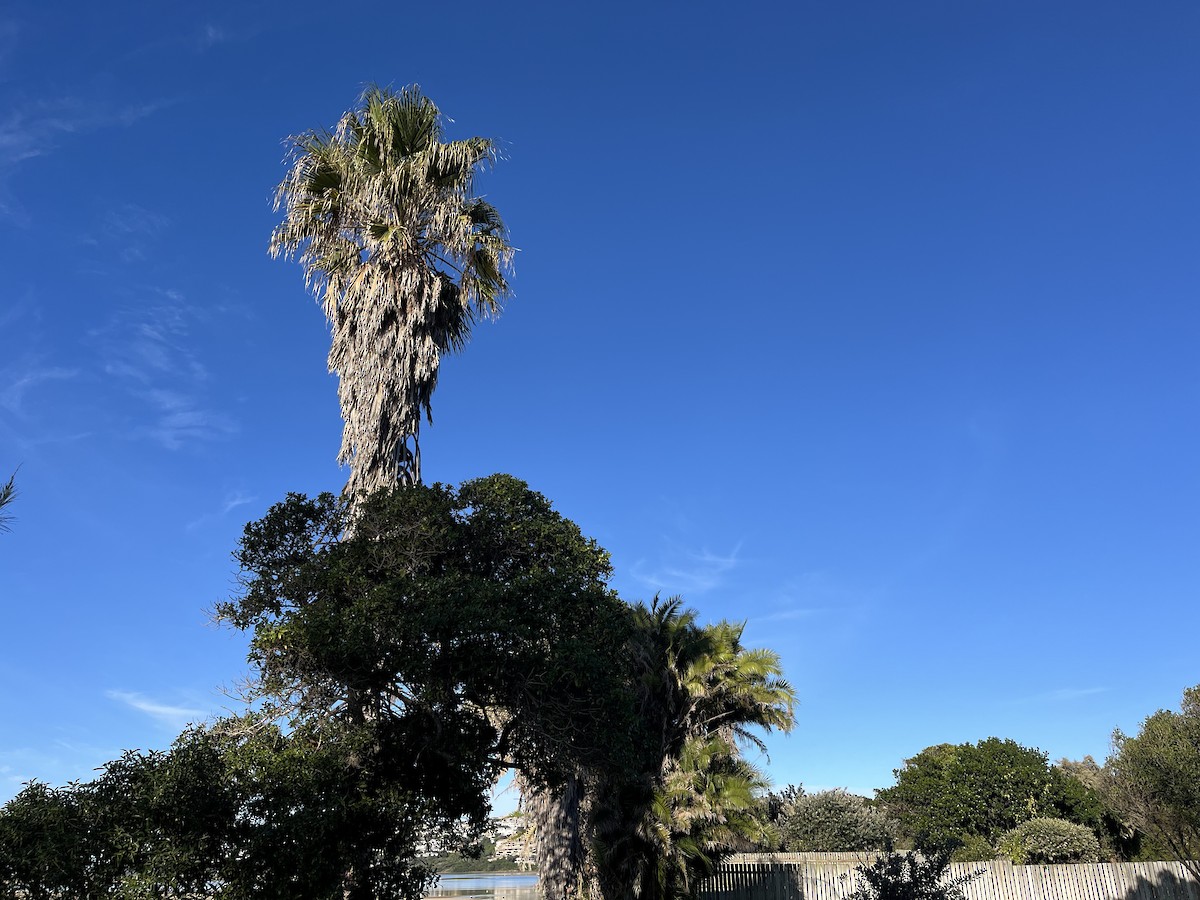 null - ML636172329