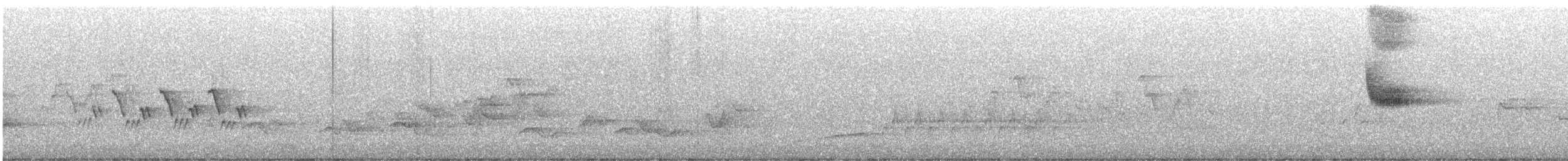 Mourning Warbler - ML636172695