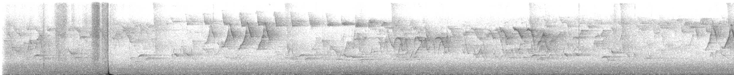 Mourning Warbler - ML636173392
