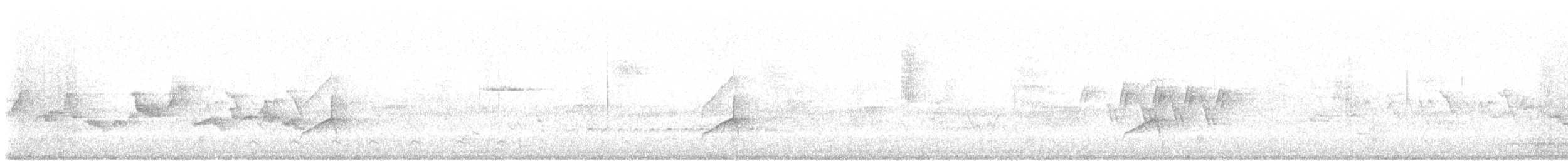 Mourning Warbler - ML636173526